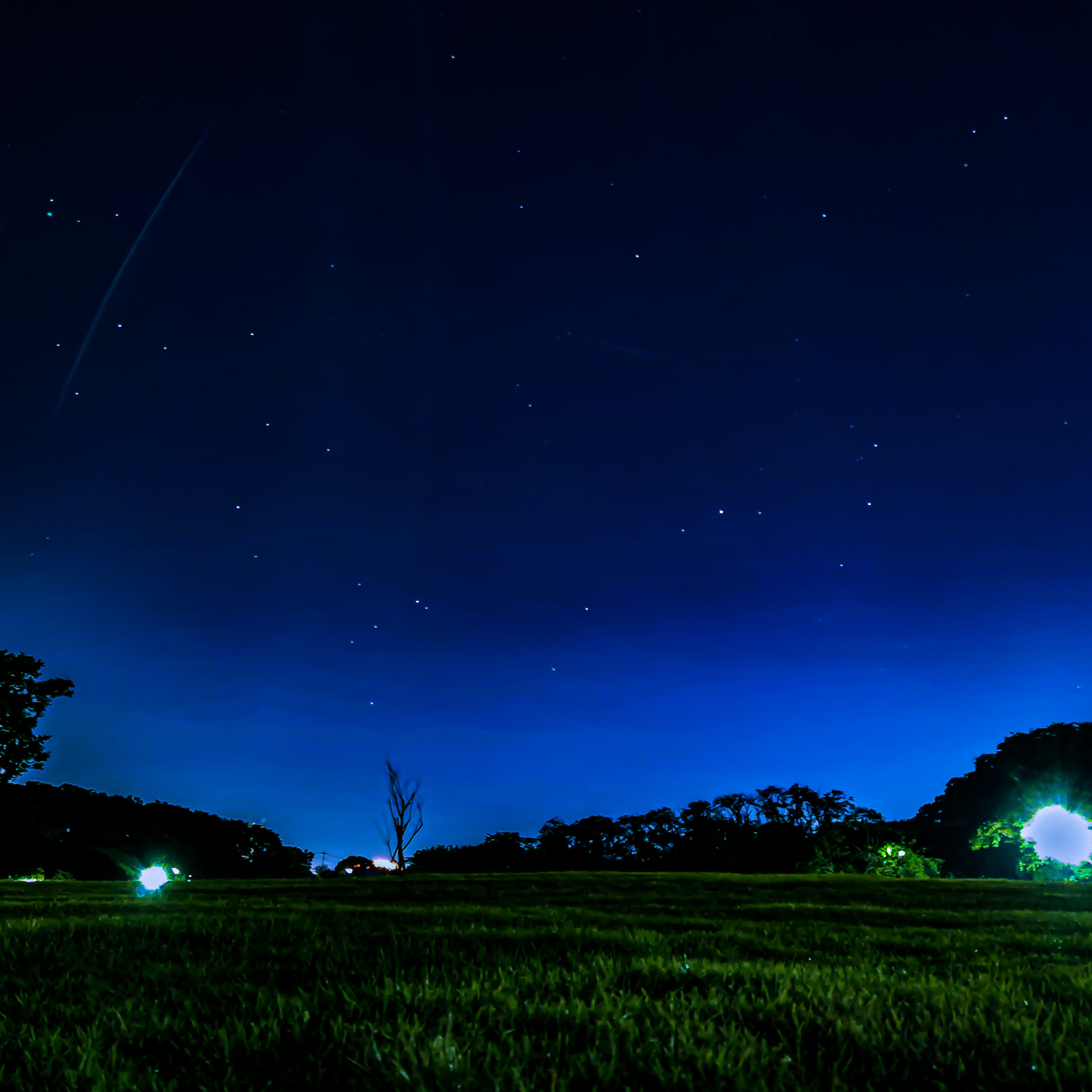 撮影地・公園情報